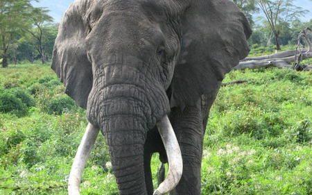 ニュース Radichubu ラジチューブ ニュース Radichubu ラジチューブ