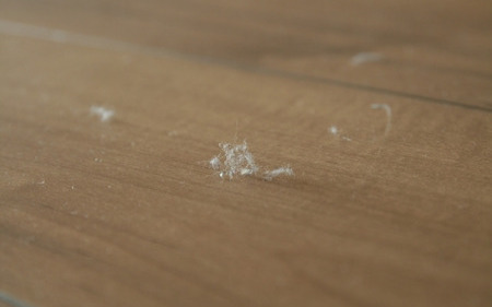 ニュース Radichubu ラジチューブ ニュース Radichubu ラジチューブ