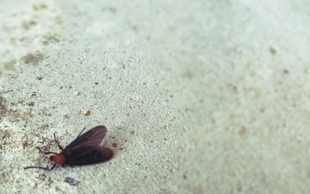 E Vvu Gqwstnm E Vvu Gqwstnm