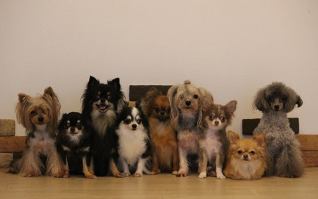 ニュース Radichubu ラジチューブ ニュース Radichubu ラジチューブ