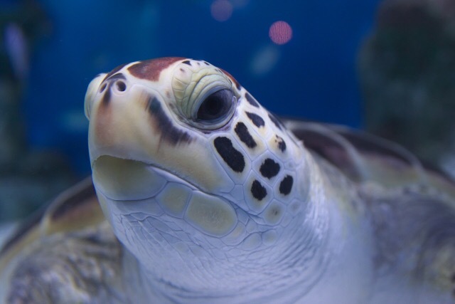 ※画像はイメージです