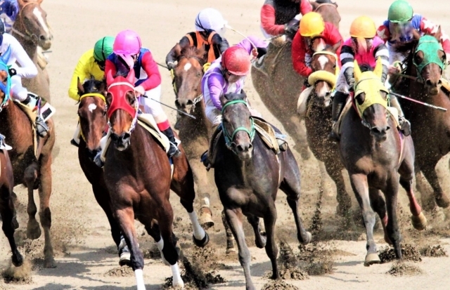 アナウンサー泣かせの名前から地名まで、珍名競走馬大集合 ...