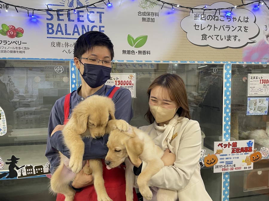 三貴フラワーセンターペット館にはカワイイ仲間がたくさん Radichubu ラジチューブ 三貴フラワーセンターペット館にはカワイイ仲間がたくさん Radichubu ラジチューブ