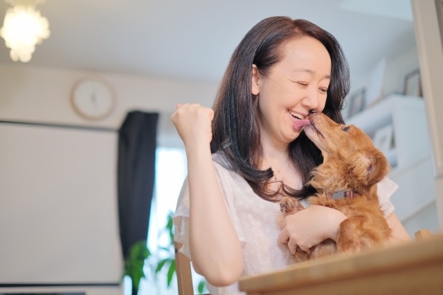 実は違った!?本当にペットはあなたに懐いているのか