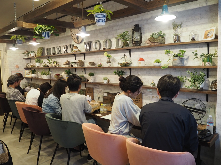 名古屋市栄にハリネズミ専門カフェ登場 Radichubu ラジチューブ 名古屋市栄にハリネズミ専門カフェ登場 Radichubu ラジチューブ