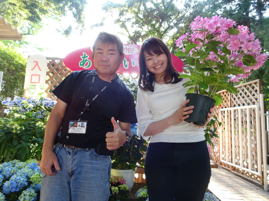 今年で30周年 愛知県蒲郡市の形原温泉で あじさい祭り 開催中 Radichubu ラジチューブ 今年で30周年 愛知県蒲郡市の形原温泉で あじさい祭り 開催中 Radichubu ラジチューブ