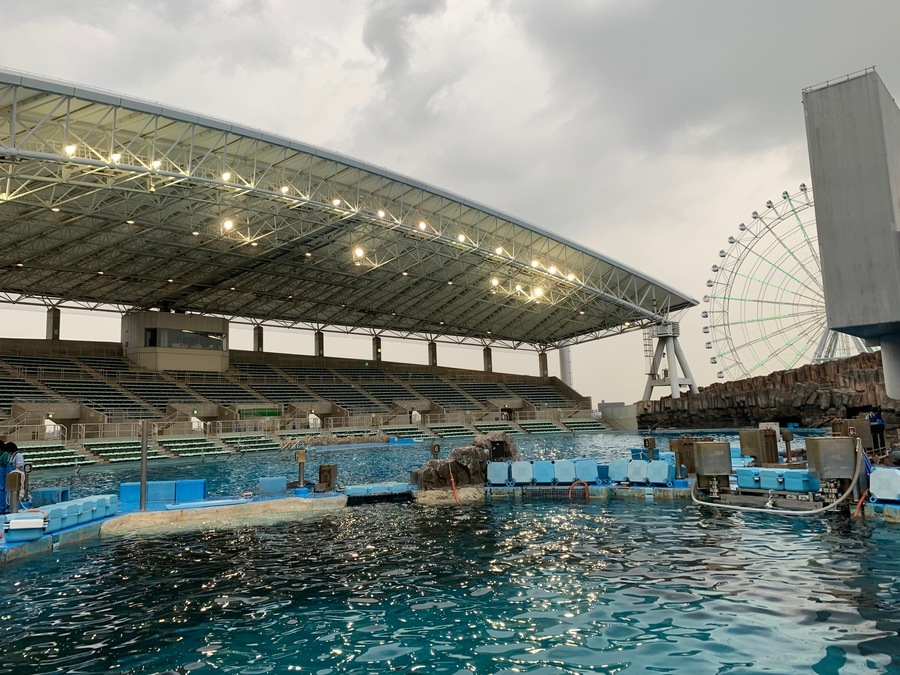 シャチが好きすぎる 名古屋港水族館の飼育員さん Radichubu ラジチューブ シャチが好きすぎる 名古屋港水族館の飼育員さん Radichubu ラジチューブ