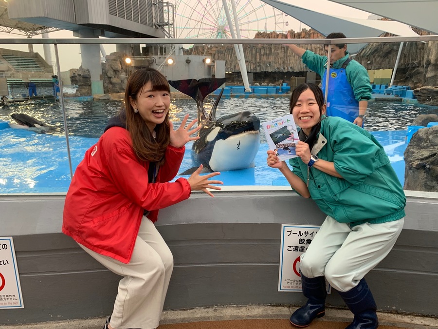 シャチが好きすぎる 名古屋港水族館の飼育員さん Radichubu ラジチューブ シャチが好きすぎる 名古屋港水族館の飼育員さん Radichubu ラジチューブ