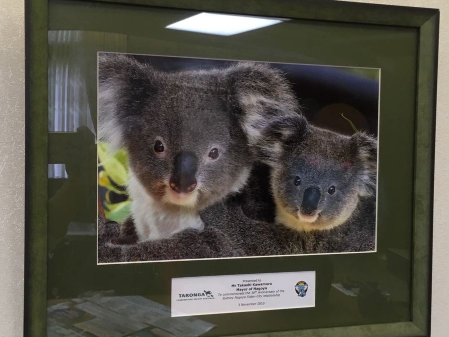 トラストさんも応援 春の 東山動植物園 Radichubu ラジチューブ トラストさんも応援 春の 東山動植物園 Radichubu ラジチューブ