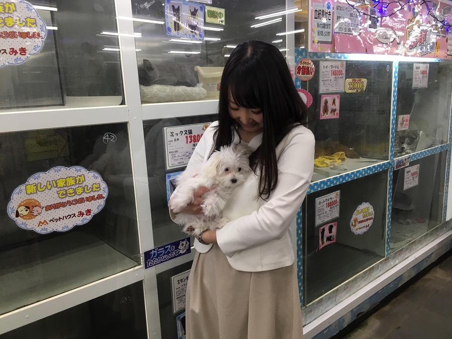 可愛いペットちゃんがお出迎え 三貴フラワーセンター ペット館 Radichubu ラジチューブ 可愛いペットちゃんがお出迎え 三貴フラワーセンター ペット館 Radichubu ラジチューブ