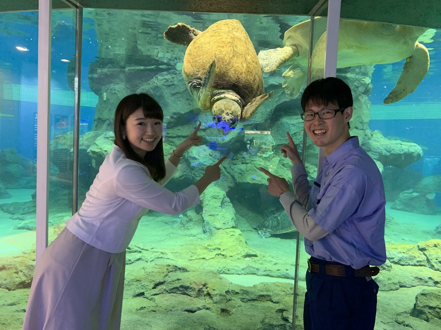 Gwのお出かけにピッタリ 名古屋港水族館 Radichubu ラジチューブ