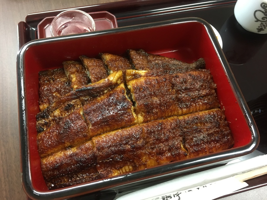今年も食べたい うなぎ割烹 みかわ三水亭 Radichubu ラジチューブ 今年も食べたい うなぎ割烹 みかわ三水亭 Radichubu ラジチューブ