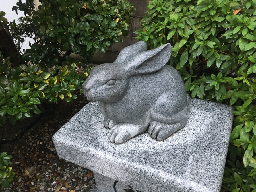 うさぎがいっぱい💕”薬と健康の神様”「少彦名神社」へ🐇✨