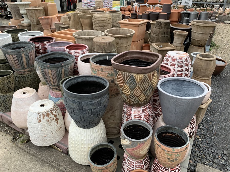 園芸の秋 三貴フラワーセンターへ是非お越しください Radichubu ラジチューブ 園芸の秋 三貴フラワーセンターへ是非お越しください Radichubu ラジチューブ