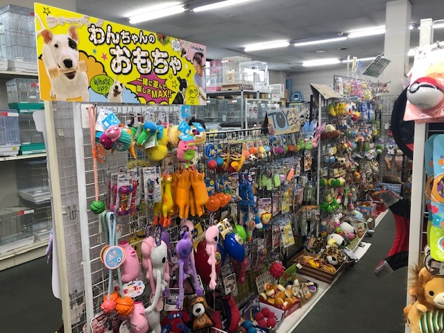 かわいいペットがお出迎え 三貴フラワーセンターペット館 Radichubu ラジチューブ かわいいペットがお出迎え 三貴フラワーセンターペット館 Radichubu ラジチューブ