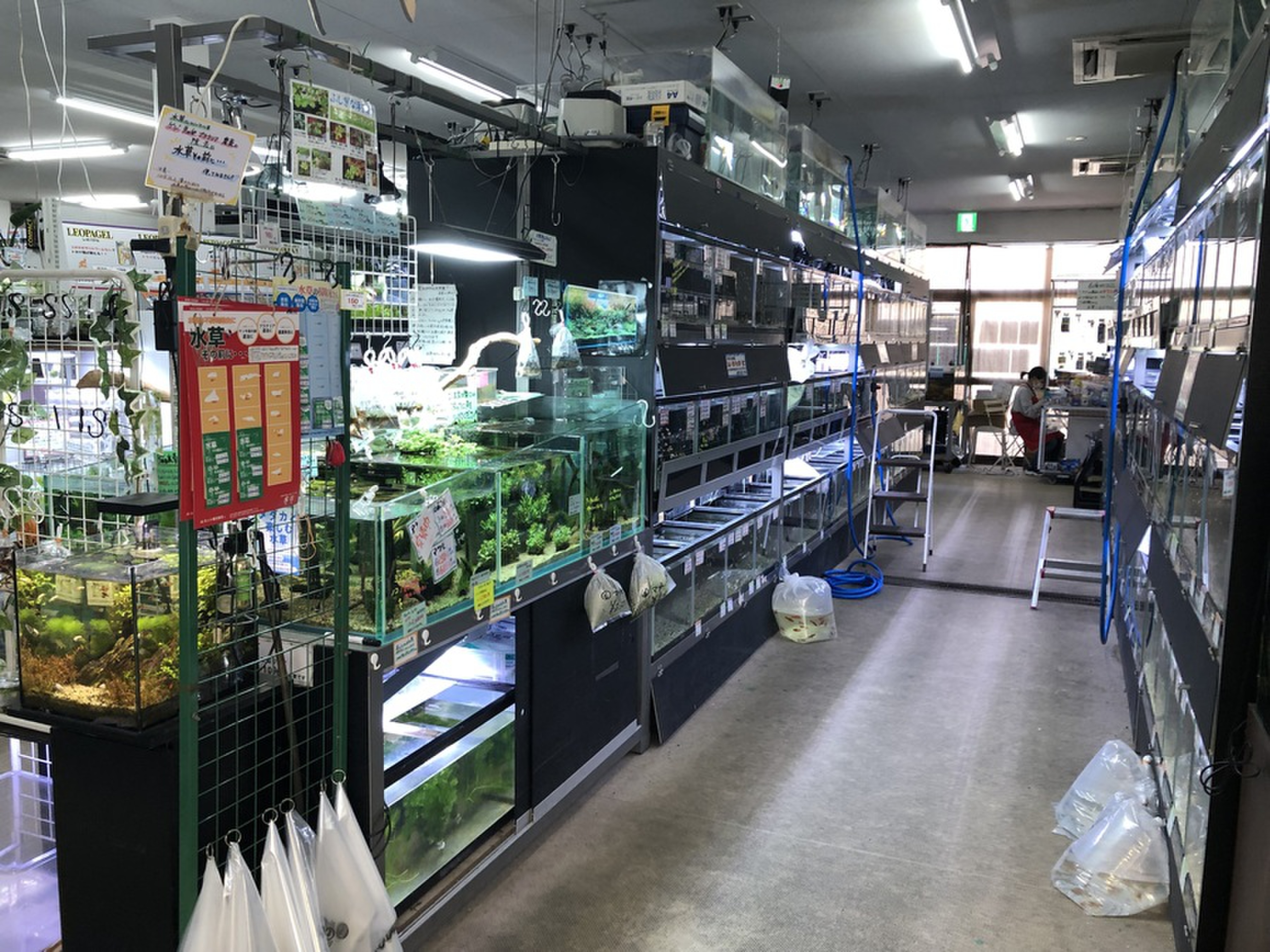 たくさんのペットちゃんがいる三貴フラワーセンター ペット館 Radichubu ラジチューブ たくさんのペットちゃんがいる三貴フラワーセンター ペット館 Radichubu ラジチューブ