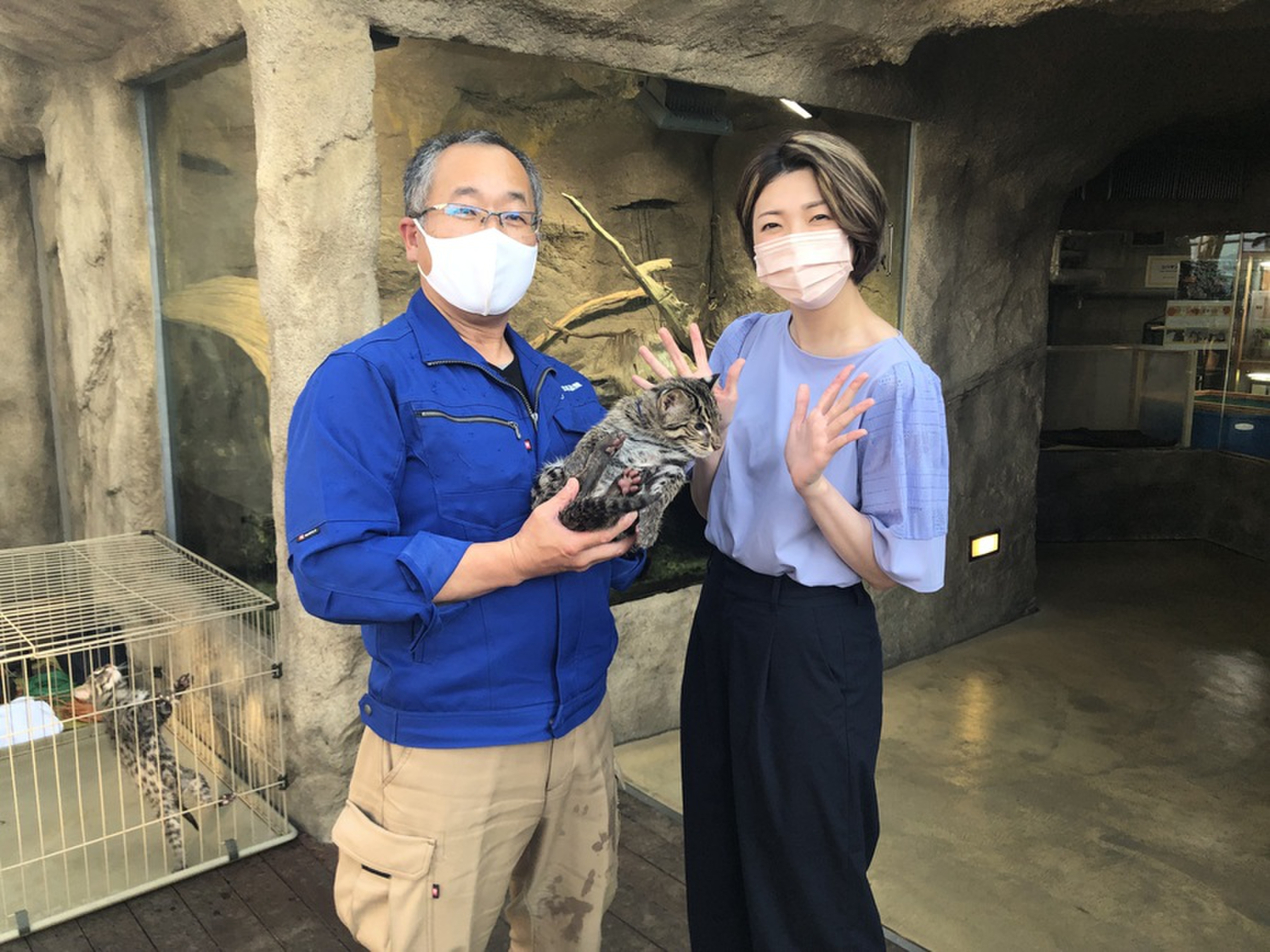 鳥羽水族館にいる ネコ の正体は Radichubu ラジチューブ 鳥羽水族館にいる ネコ の正体は Radichubu ラジチューブ