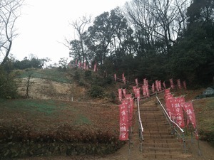 20130215sawa01.jpg