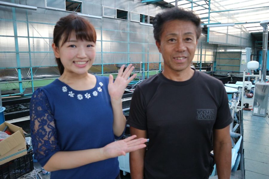 海がない岐阜県でバナメイエビの養殖が成功 Radichubu ラジチューブ 海がない岐阜県でバナメイエビの養殖が成功 Radichubu ラジチューブ